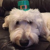 Brendan Lawrence's photo