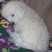 Jacqueline Kiffmeyer's photo