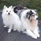 Deanna Berger's photo