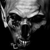 Dave Liewald's photo