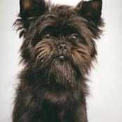 Emily Headys foto