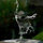 webuser_521566