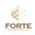 Forte Building Group, LLC