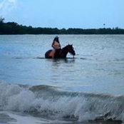 Marwa S.s foto