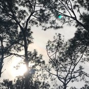 Whitney Petzold's photo