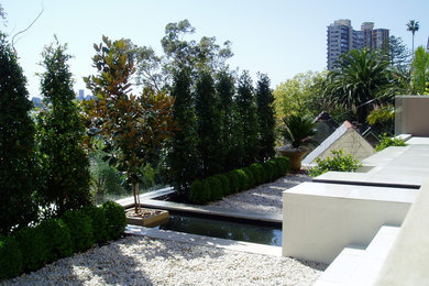 Contemporary garden in Sydney.