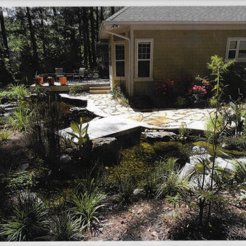 Backyard Koi Pond