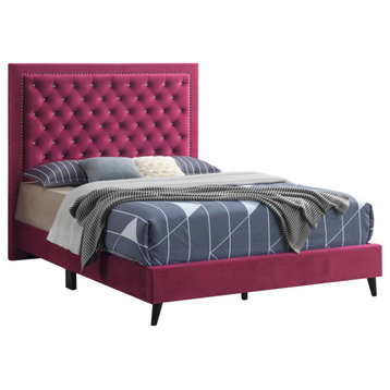 Alba Cherry Upholstered Queen Panel Bed