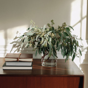 Simplify Studio