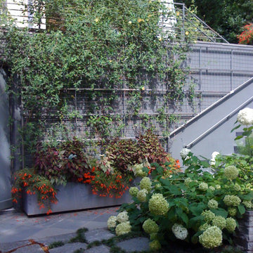 Residential Landscapes