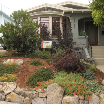 Warm Contemporary Front Garden