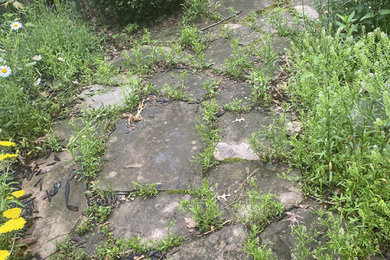 Backyard Patio Construction