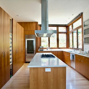 Mid-Century Overlook Home