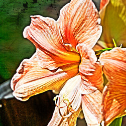 Fine Art Decor_Floral - Artwork