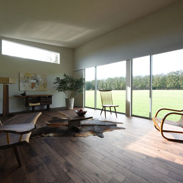 Case Study House #88 T house