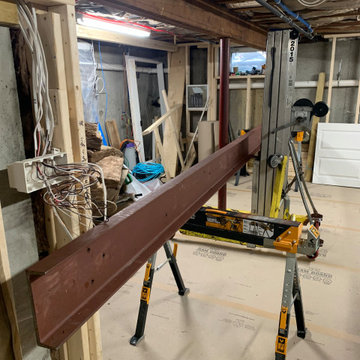 Basement Renovation