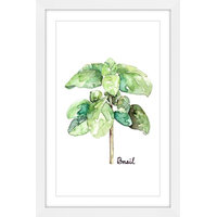 "Herb Basil" Framed Print by Rachel Byler