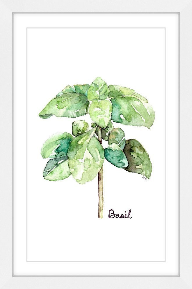 "Herb Basil" Framed Print by Rachel Byler