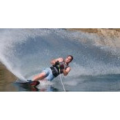 Brad Currie's photo
