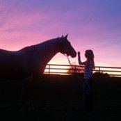 David-Shari Smith's photo