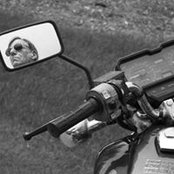 Larry Marks's photo