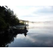 Tim Yull's photo