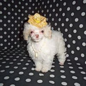 Michele LaBranche's photo
