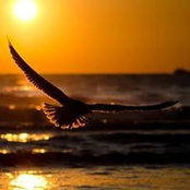 Jamal Sabir's photo