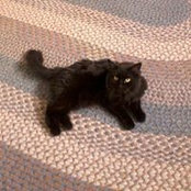 Louise Jensen's photo