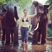 Jenny Stein's photo