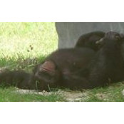 Nicholas Ledlie's photo