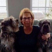 Foto von Lynn Foldesy