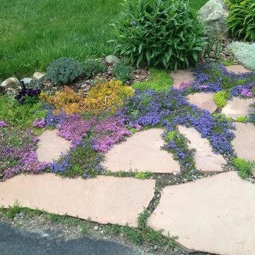 Landscape Projects
