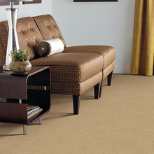 Living Room Carpet
