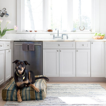 Dash & Albert Rugs