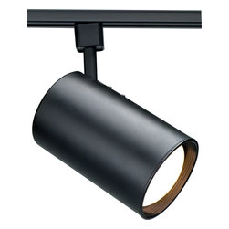 Nuvo Lighting - Nuvo Track Lighting, 1 Light 50W, Incandescent Track Light Fixture, Black - Track Heads And Pendants