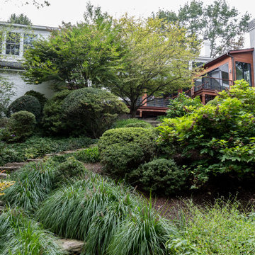 AFTER Rear Elevation Built to Enjoy the Beautiful Backyard