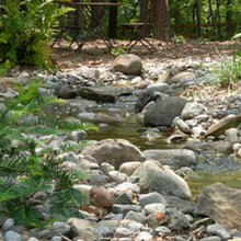 2020 Landscape Design