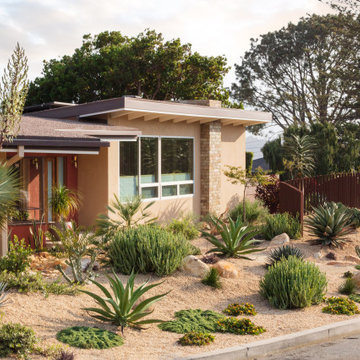 Award-Winning Xeriscape