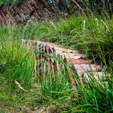 Fusing Art and Ecology
