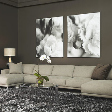 Design Galleria by Valentine
