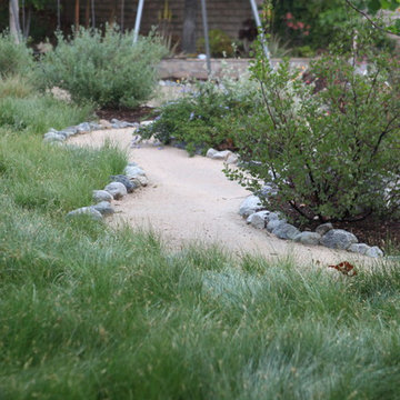 IdealMow Meadow Path