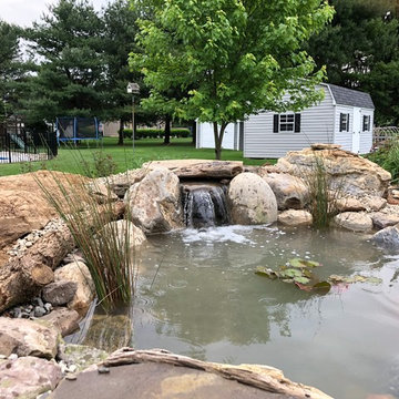 Building a Small Backyard Pond