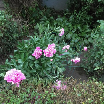 Landscaping Photos