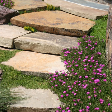 Natural Steps