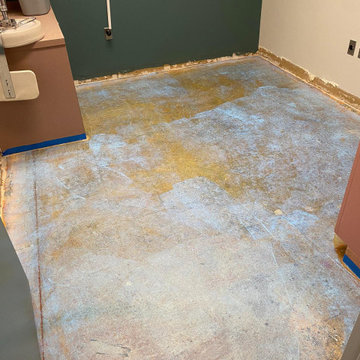 Installation: Luxury Vinyl Plank & Laminate