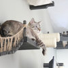 Did You Design Your House Around Your Pet?