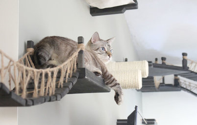 Pet’s Place: Cat Furniture Creations Take Over the House