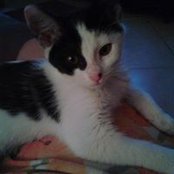 Kimberly Hines's photo