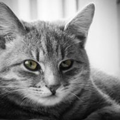 Tanja